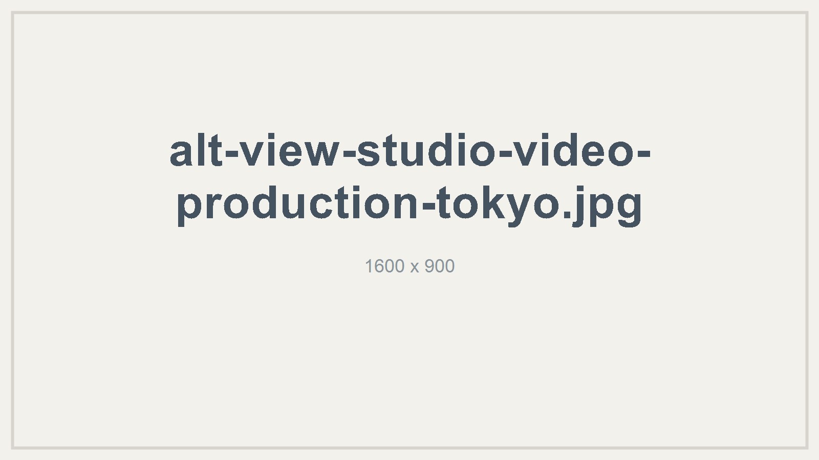 Alt View Studio camera crew filming a corporate video production in Tokyo