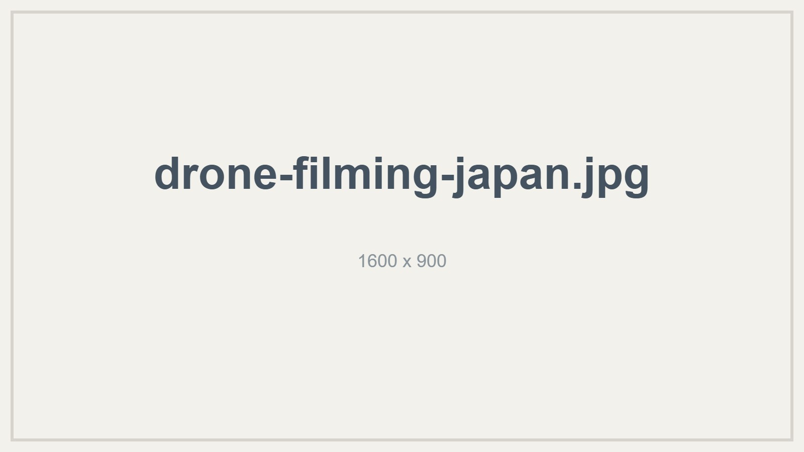Drone flight path checker